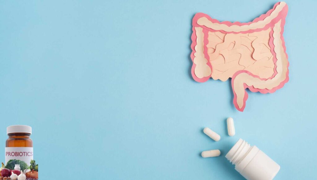 Le meilleur probiotique pour le côlon irritable : avis complet