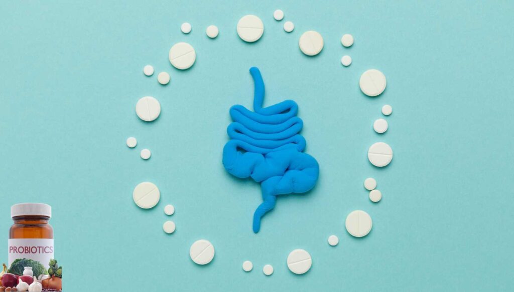 Les meilleurs probiotiques pour soulager la constipation : guide complet